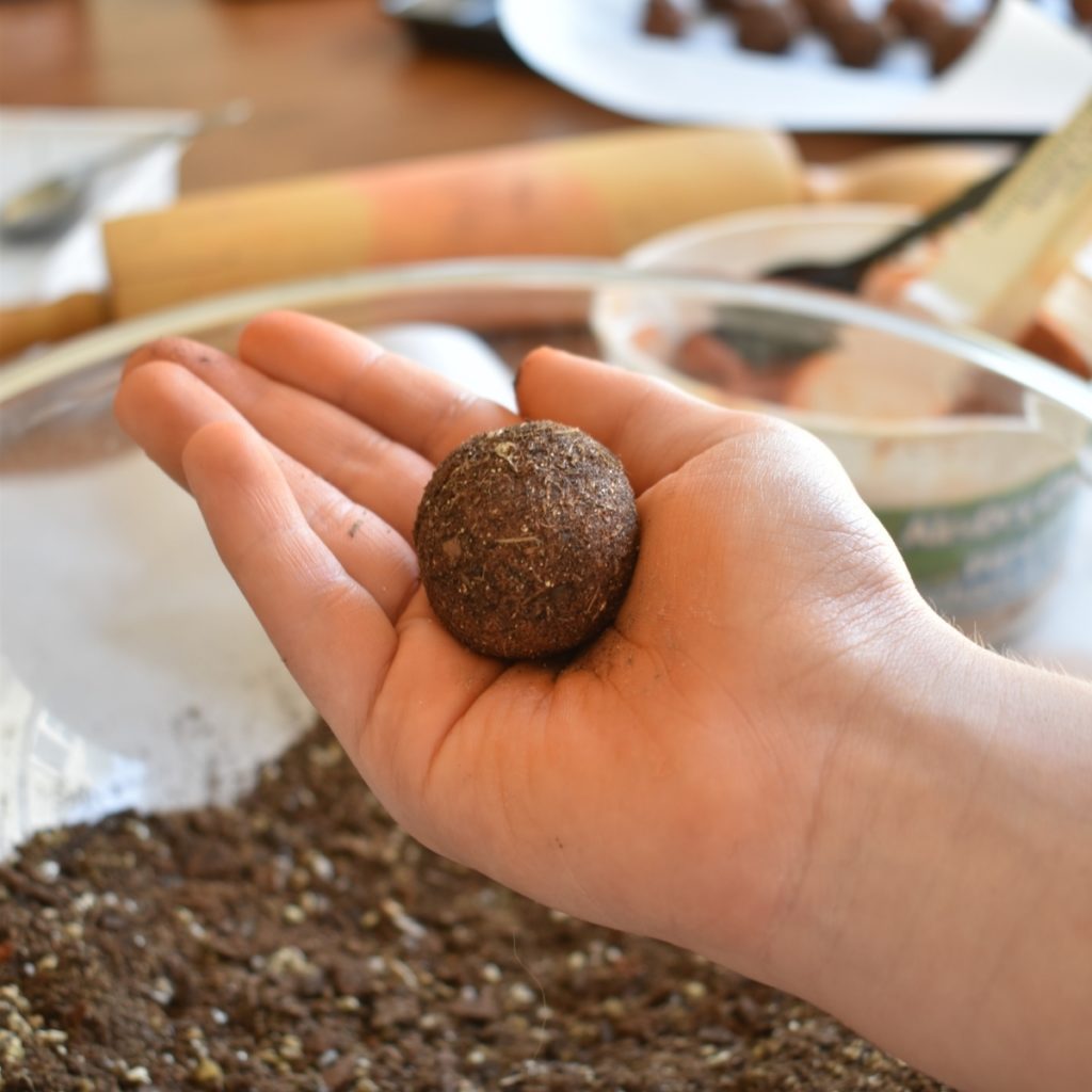 Introducing children to witchcraft can be as simple as making seed bombs together.