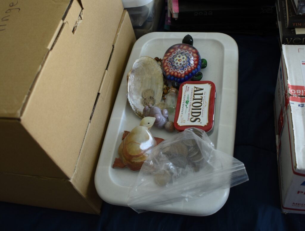 Photo showing some turtle tchotchkis, coins, and shells on a plastic bin.