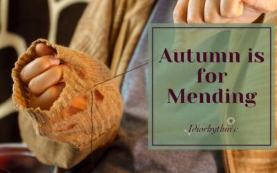 Autumn is for Mending